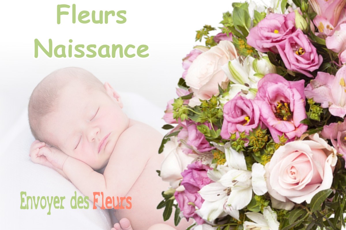 lIVRAISON FLEURS NAISSANCE à REGADES